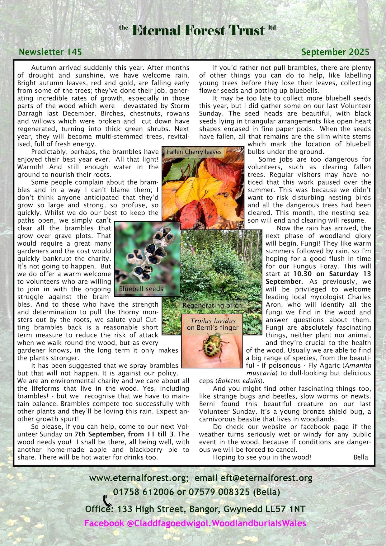 September 2025 - Newsletter 145