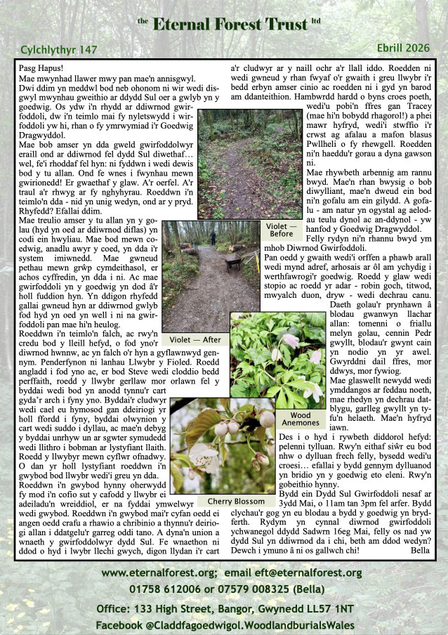 Ebrill 2026 - Cylchlythyr 147