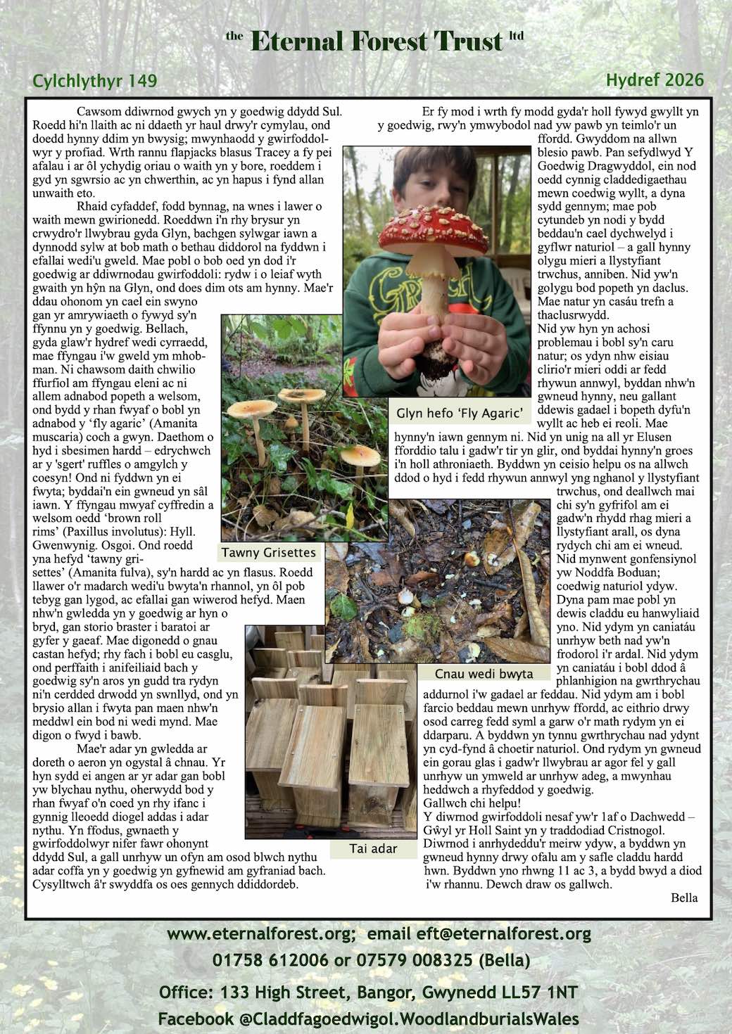Hydref 2026 - Cylchlythyr 149 pdf